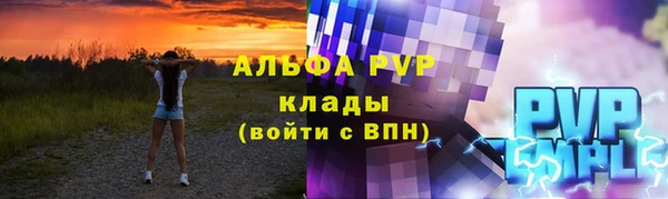 прущие грибы Абаза