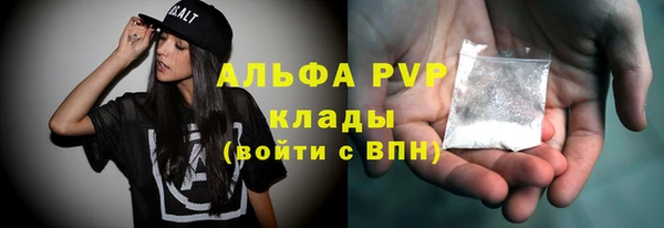 прущие грибы Абаза
