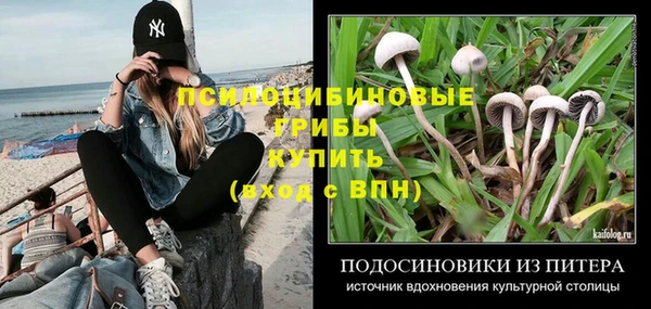 spice Алексеевка